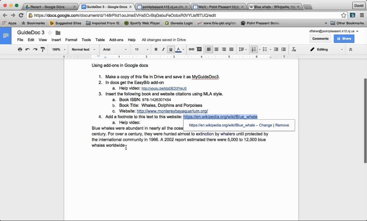 add footnote in google docs